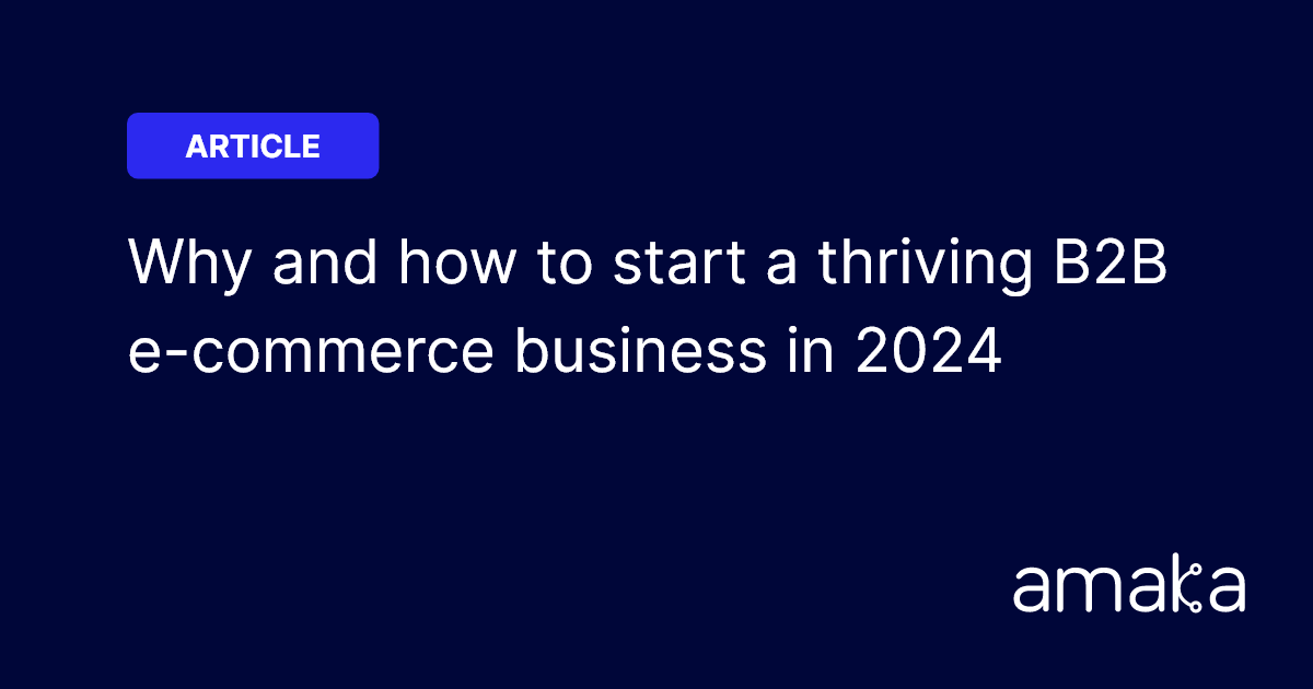 Start A B2B E-Commerce Business In 2024: Foolproof Guide | Amaka